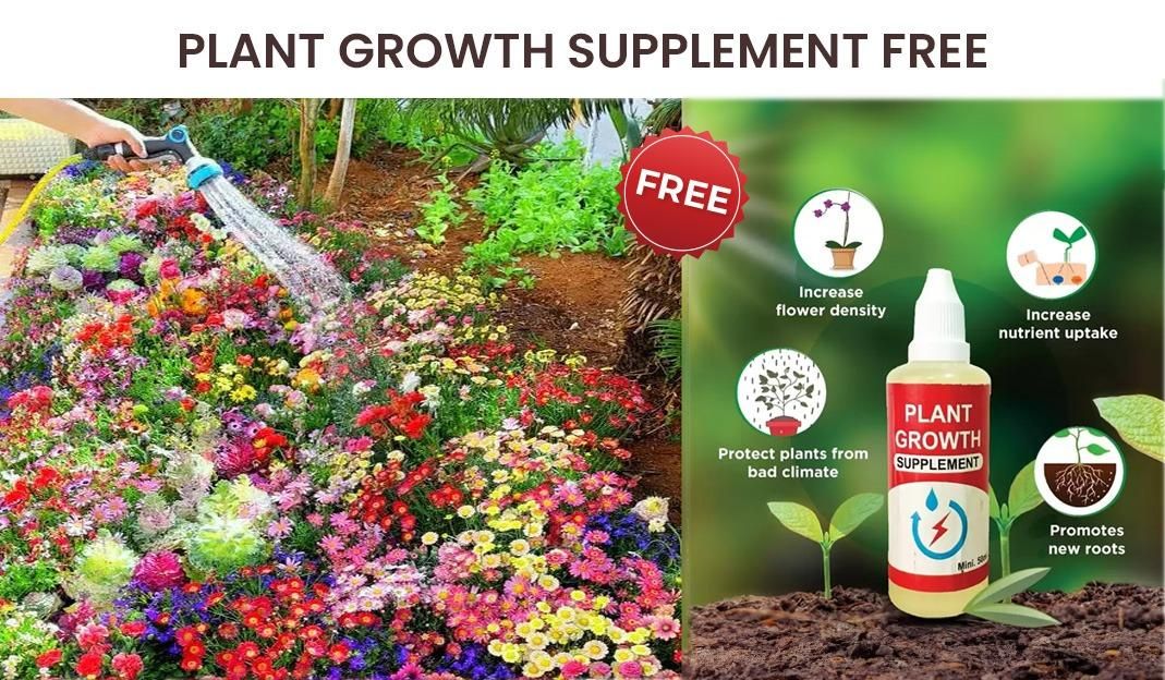 Flower Seed Variety Pack (100 Seeds) + Free Plant Growth Supplement