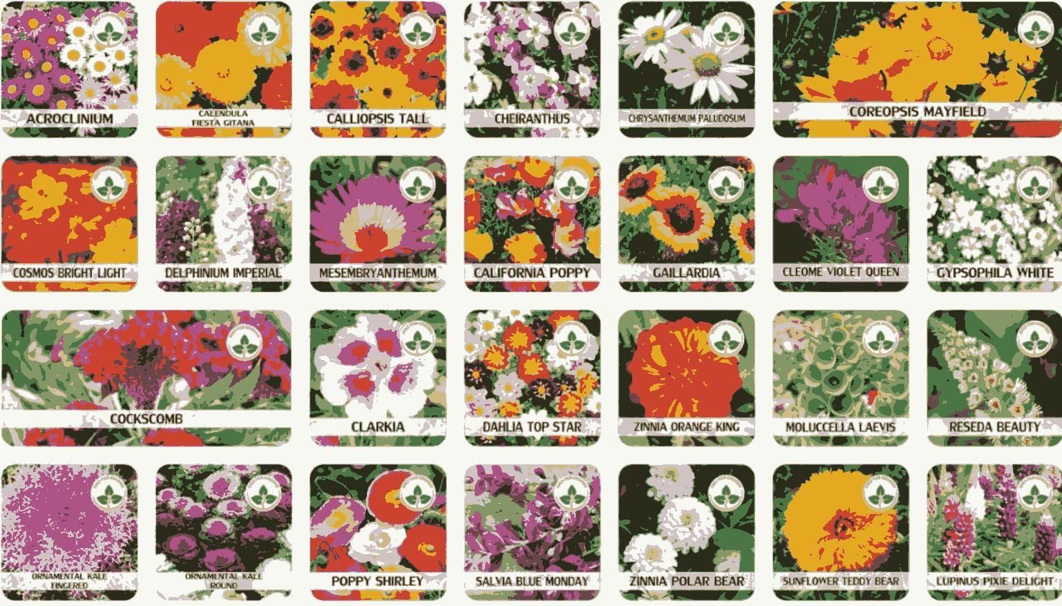 Flower Seed Variety Pack (100 Seeds) + Free Plant Growth Supplement